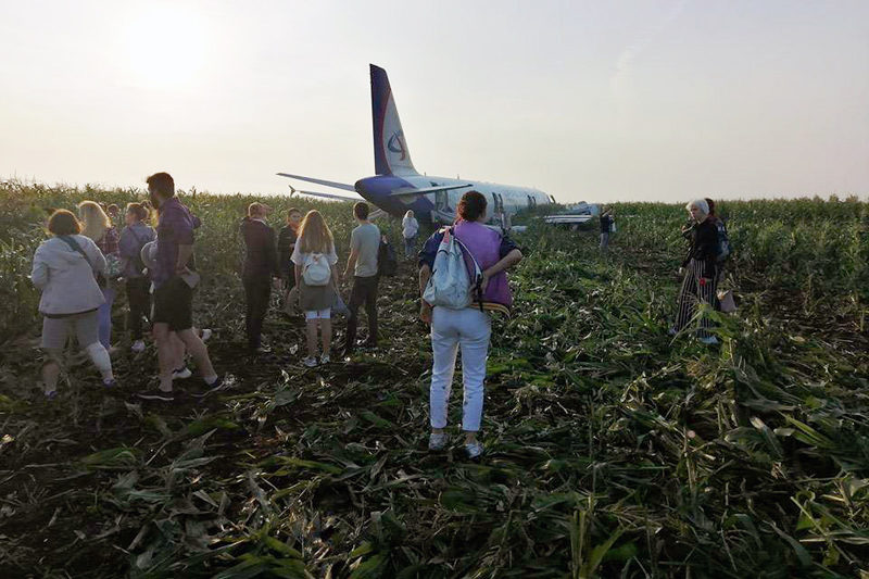 27 августа 2019 года. Уральские авиалинии кукурузное поле. А321 сел на кукурузное поле. А321 Уральские авиалинии кукурузное поле. Посадка на кукурузное поле а 321.